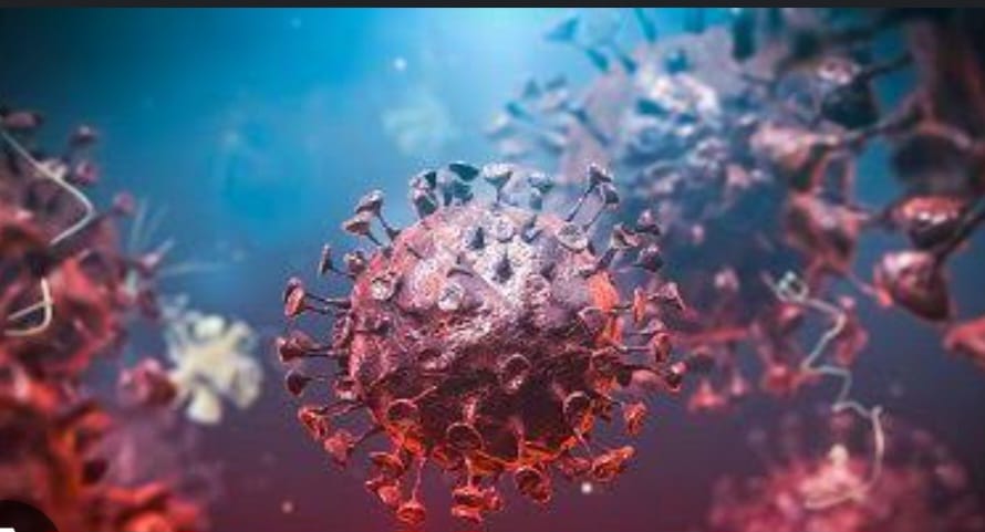 Boletim da covid-19 traz quatro novas mortes pela doença na última semana em MS