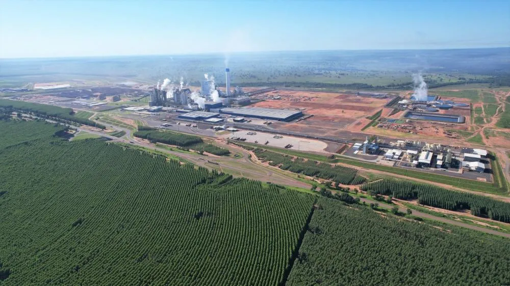 Unidade da Suzano em Ribas do Rio Pardo (MS) conclui curva de aprendizagem em tempo recorde