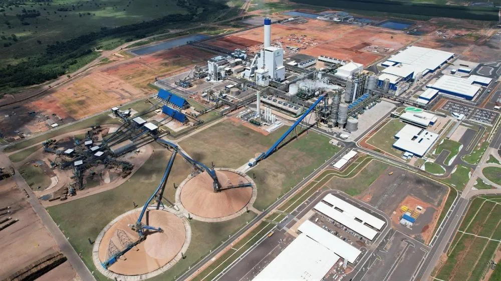 Suzano está com sete processos seletivos abertos para Ribas do Rio Pardo e Três Lagoas (MS)